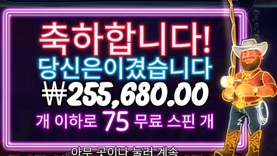 200원짜리 75핀 결과