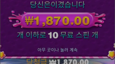 보난자 1000 후기!