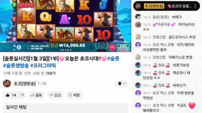 초코 1부 라이브 방송