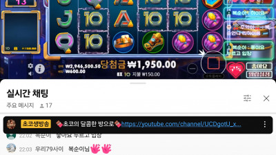초교라이브 방송