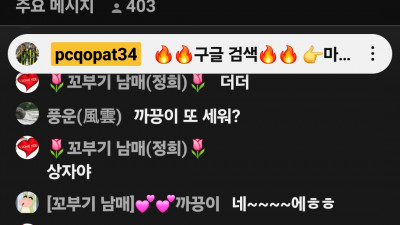 마초