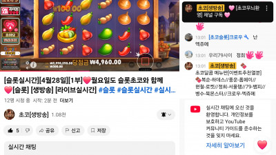 초코 1부