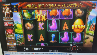 슬롯초코 1부 고고