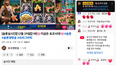 초코 라이브