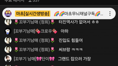 마초