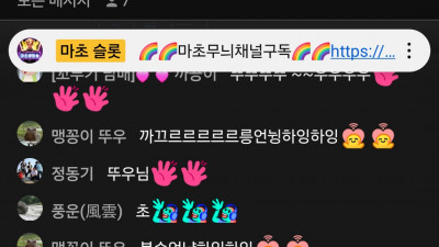 마초